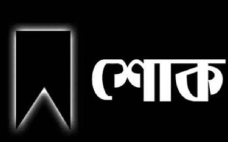সাংবাদিক তারিকুল ইসলামের মা মারা গেছেন