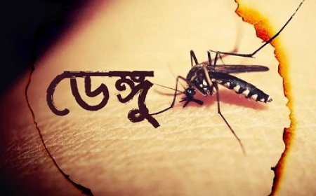 ২৪ ঘণ্টায় ডেঙ্গুতে ৭ মৃত্যু, হাসপাতালে ভর্তি ১৮৭২