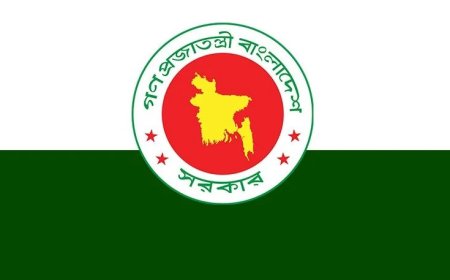 কিশোর গ্যাং প্রতিরোধে উপজেলা পর্যায়ে কমিটি গঠন