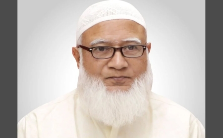 হায় সেলুকাস, আমাদের এই বাংলাদেশ
