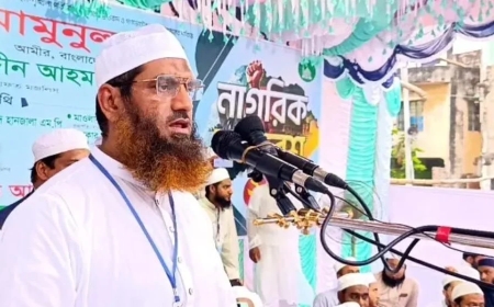 বাঙালিরে হাইকোর্ট দেখানোর চেষ্টা কইরেন না: মামুনুল হক