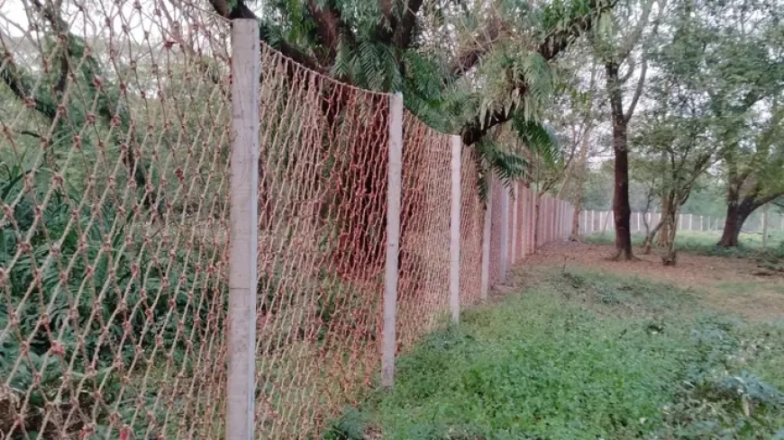 সুন্দরবনে ৭৪ কিলোমিটার এলাকাজুড়ে নাইলনের বেড়া
