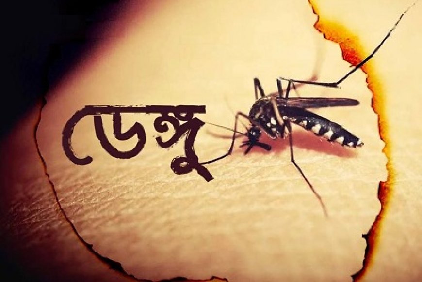২৪ ঘণ্টায় ডেঙ্গুতে ৭ মৃত্যু, হাসপাতালে ভর্তি ১৮৭২